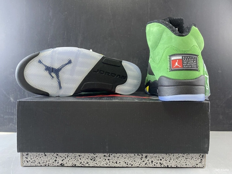 “Oregon” CK6631-307 Jordan Air 5  1126